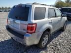 2010 Ford Escape Limited