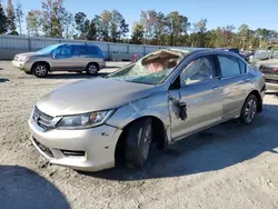 Salvage cars for sale at Spartanburg, SC auction: 2013 Honda Accord LX