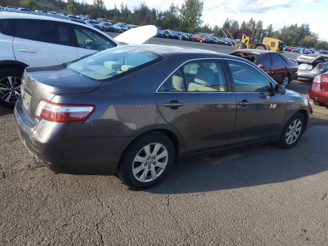 2008 Toyota Camry Hybrid