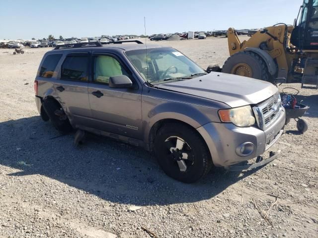 2008 Ford Escape XLT