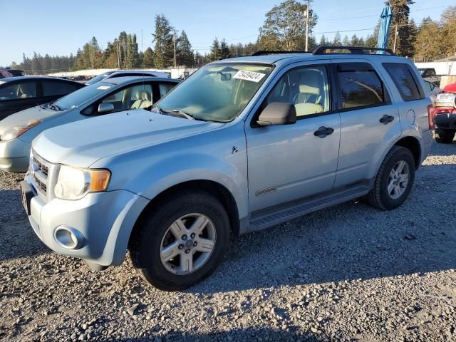 2008 Ford Escape HEV