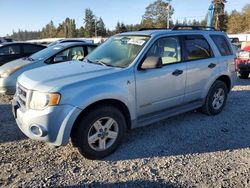 Carros híbridos a la venta en subasta: 2008 Ford Escape HEV