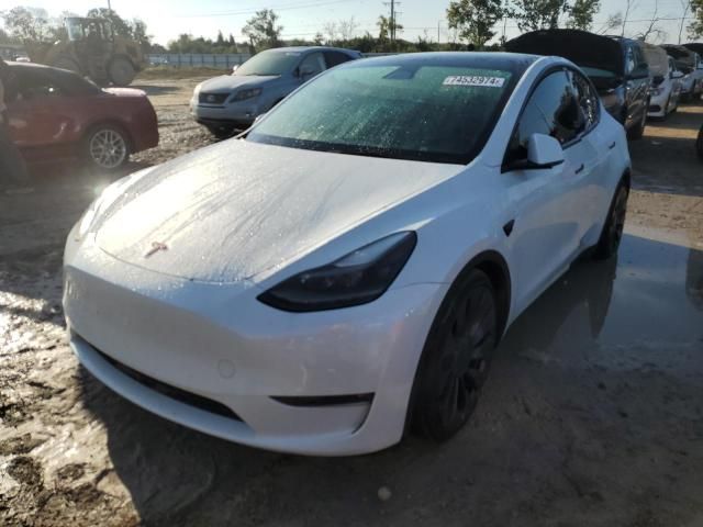 2023 Tesla Model Y