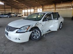 Nissan Vehiculos salvage en venta: 2010 Nissan Altima Base