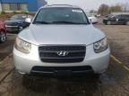 2007 Hyundai Santa FE GLS