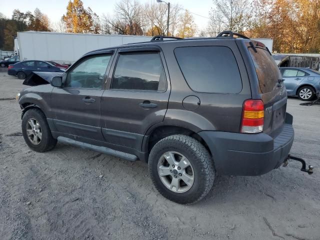 2006 Ford Escape XLT