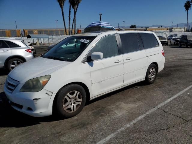 2006 Honda Odyssey EXL