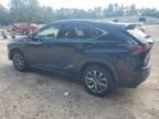 2020 Lexus NX 300 F Sport