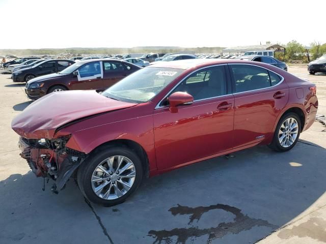 2014 Lexus ES 300H