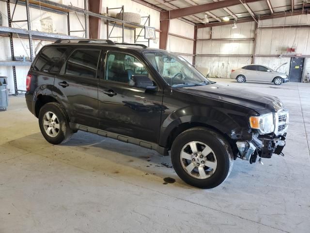 2011 Ford Escape Limited