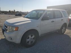 Ford salvage cars for sale: 2012 Ford Escape XLS