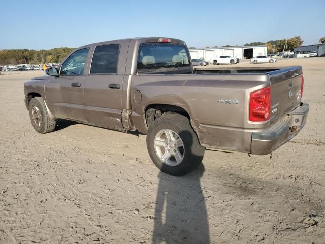 2010 Dodge Dakota SXT