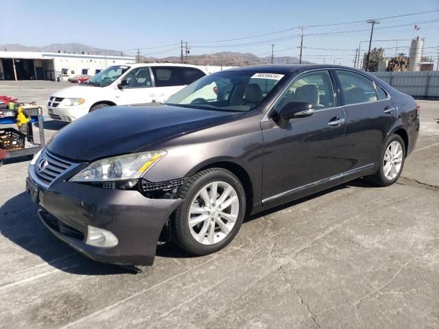 2010 Lexus ES 350