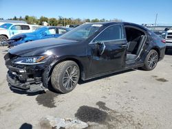 Salvage cars for sale at Pennsburg, PA auction: 2024 Lexus ES 350 Base