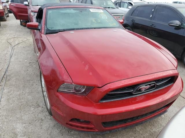 2013 Ford Mustang