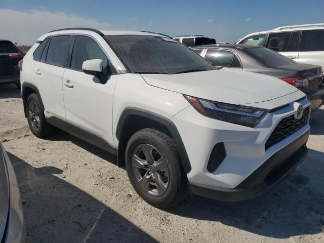 2024 Toyota Rav4 XLE