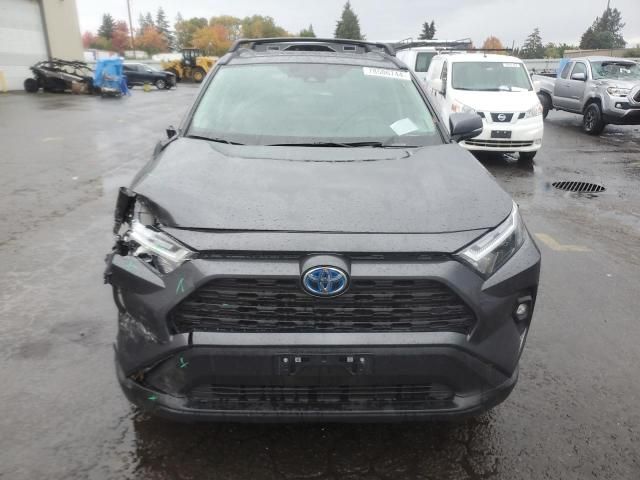 2024 Toyota Rav4 XLE Premium