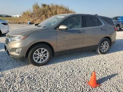 Salvage cars for sale at Taylor, TX auction: 2019 Chevrolet Equinox LT