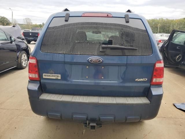 2008 Ford Escape XLT