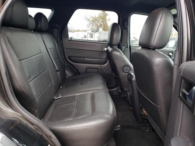 2011 Ford Escape Limited