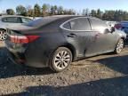 2013 Lexus ES 300H