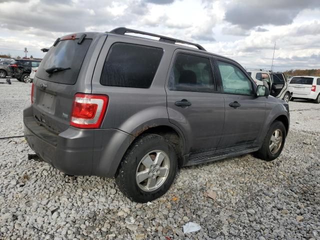 2010 Ford Escape XLT