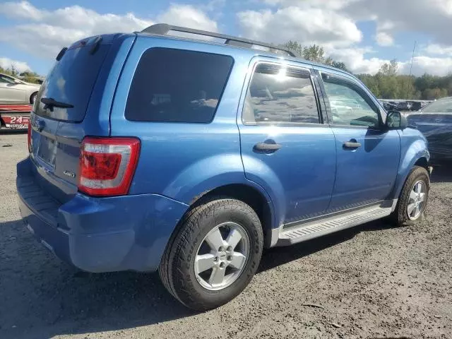 2009 Ford Escape XLT