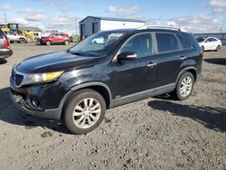 KIA Vehiculos salvage en venta: 2011 KIA Sorento EX