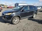 2011 KIA Sorento EX