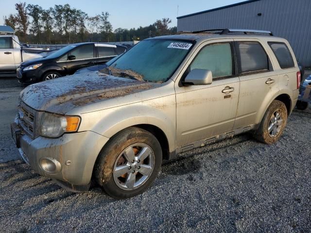 2011 Ford Escape Limited