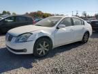 2004 Nissan Maxima SE