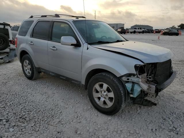 2011 Ford Escape Limited