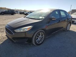 Salvage cars for sale at Fredericksburg, VA auction: 2016 Ford Focus SE