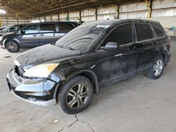 Salvage cars for sale at Phoenix, AZ auction: 2011 Honda CR-V EXL