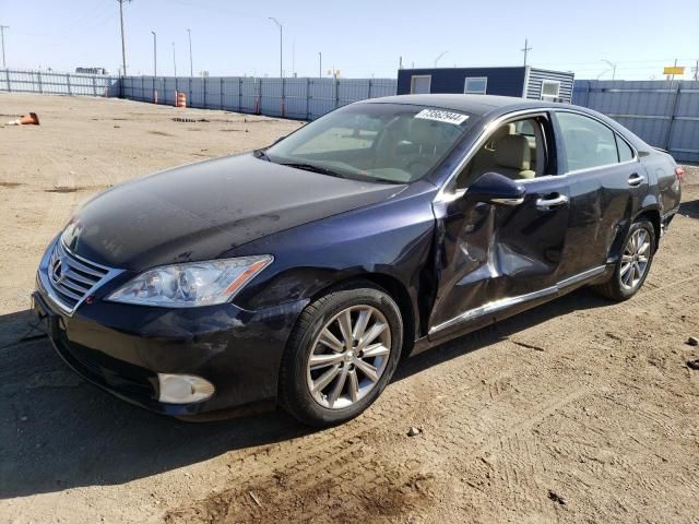 2010 Lexus ES 350