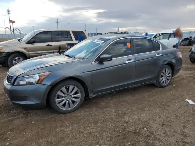 2008 Honda Accord EXL