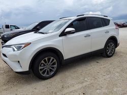 Salvage cars for sale from Copart Arcadia, FL: 2018 Toyota Rav4 Limited