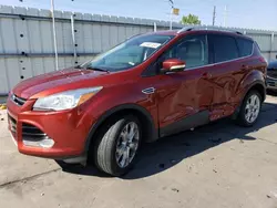 Salvage cars for sale at Littleton, CO auction: 2015 Ford Escape Titanium