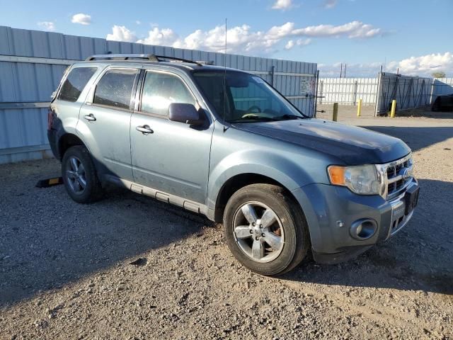 2011 Ford Escape Limited