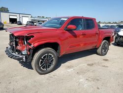 Salvage cars for sale at Harleyville, SC auction: 2024 Toyota Tacoma Double Cab