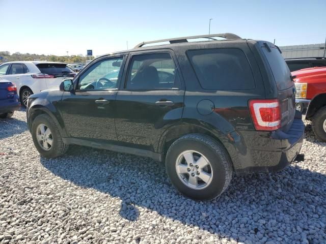 2009 Ford Escape XLT