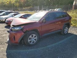 Toyota salvage cars for sale: 2019 Toyota Rav4 LE