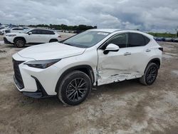 Salvage cars for sale at West Palm Beach, FL auction: 2024 Lexus NX 250 Base