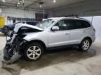 2009 Hyundai Santa FE SE