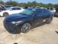 Salvage cars for sale at Midway, FL auction: 2019 Toyota Camry Hybrid