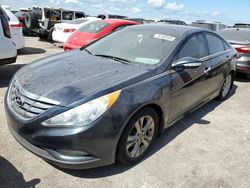 Flood-damaged cars for sale at auction: 2013 Hyundai Sonata SE