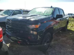 Salvage cars for sale at Riverview, FL auction: 2024 Chevrolet Silverado K1500 Trail Boss Custom