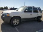 2005 Ford Escape XLT