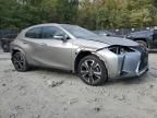 2020 Lexus UX 250H