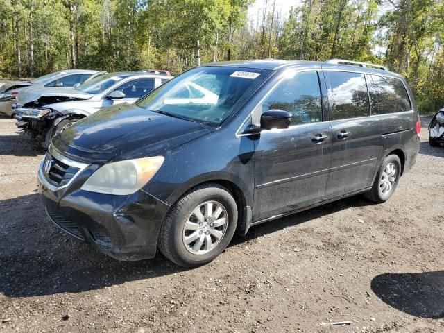 2008 Honda Odyssey EXL